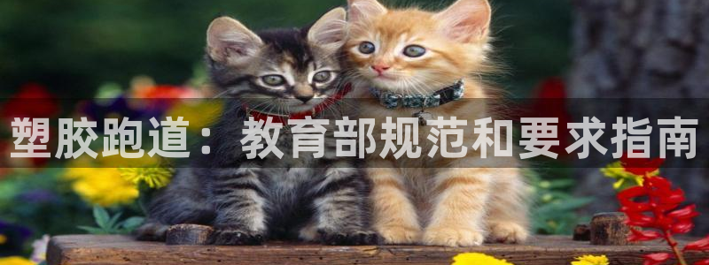 尊龙凯时ag旗舰厅官方网站：塑胶跑道：教育部规范和要