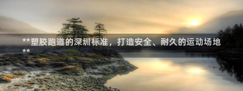 尊龙官网免费下载安卓：**塑胶跑道的深圳标准，打造安