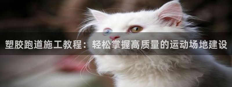 尊龙d88平台版下载