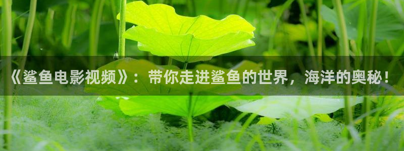 依依影院视频：《鲨鱼电影视频》：带你走进鲨鱼的世界，海洋的奥秘！