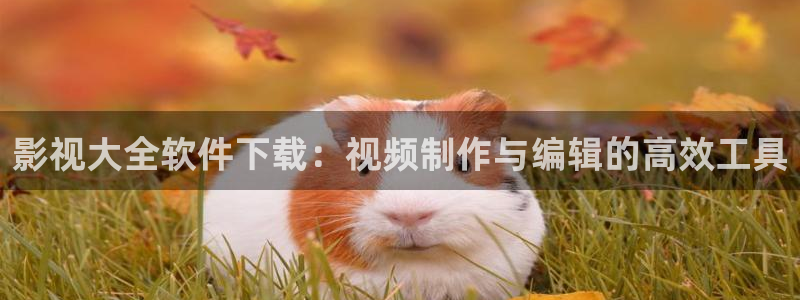 依依在线视频：影视大全软件下载：视频制作与编辑的高效工具