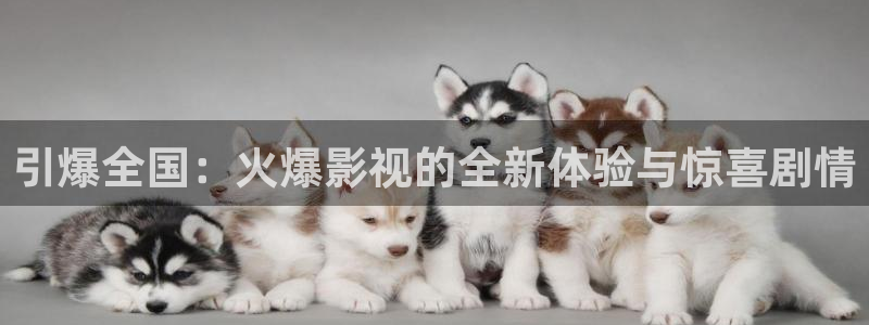 依依电影网：引爆全国：火爆影视的全新体验与惊喜剧情