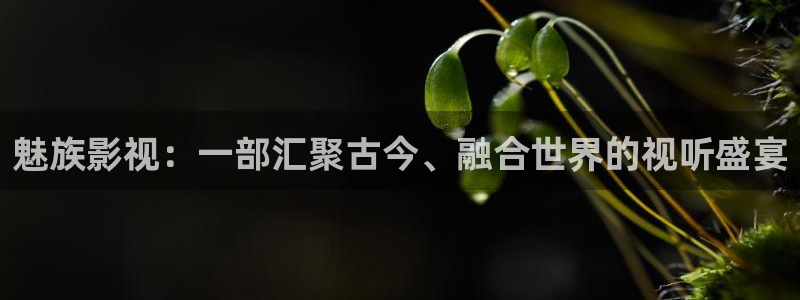 依依影院久久