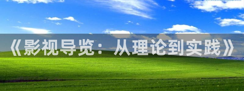 依依影院在线观看：《影视导览：从理论到实践》