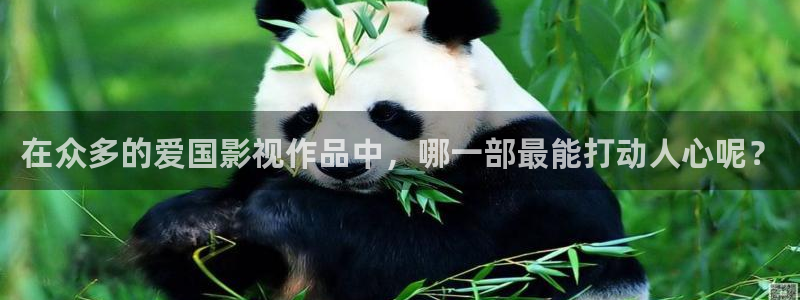 依依成人影院在线观看：在众多的爱国影视作品中，哪一部最能打动人心呢？