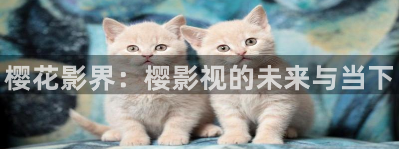 依依视频：樱花影界：樱影视的未来与当下