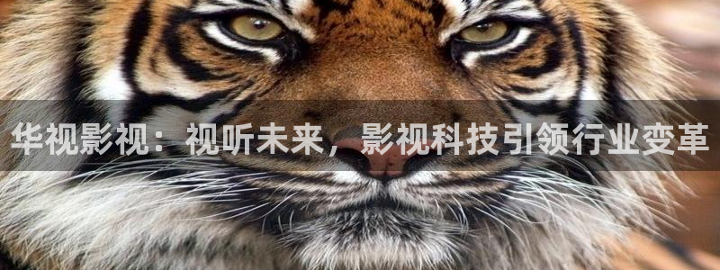 依依影院下载